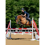 A chestnut horse jumping with a dark blue lemieux suede close contact square navy saddle pad and bridle