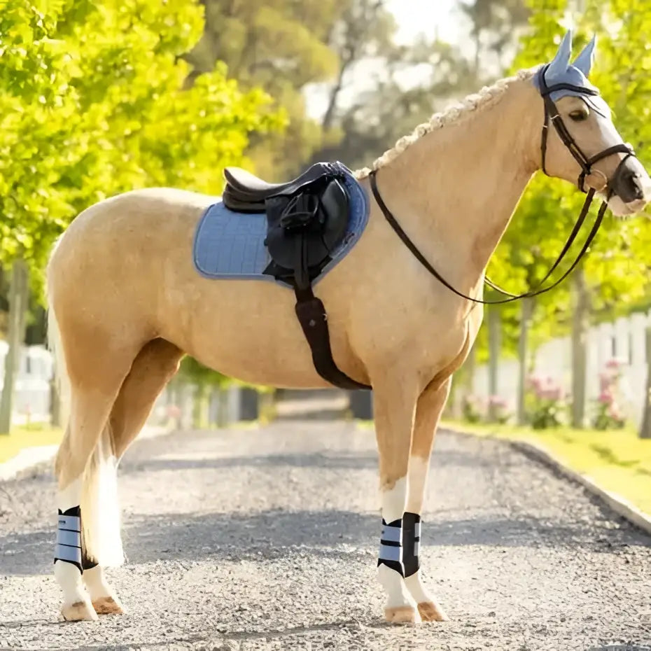 A light tan horse stands on a gravel path wearing a lemieux suede close contact square powder blue saddle pad