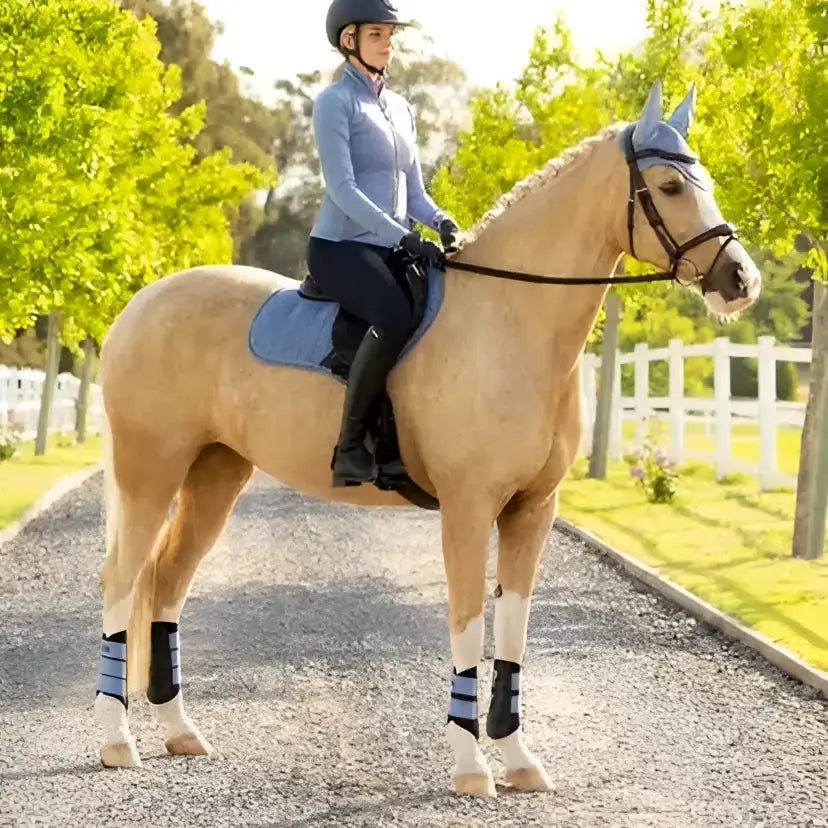 A light tan horse wearing lemieux suede close powder blue protective head covering and matching leg wraps with black gear