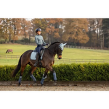 Lemieux Suede Dressage Square Glacier Small/Medium Glacier Dressage Saddle Pads