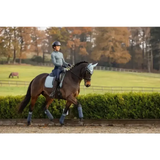 Lemieux Suede Dressage Square Glacier Small/Medium Glacier Dressage Saddle Pads
