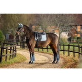 A dark brown horse stands on a dirt path wearing a lemieux suede dressage square glacier in blue
