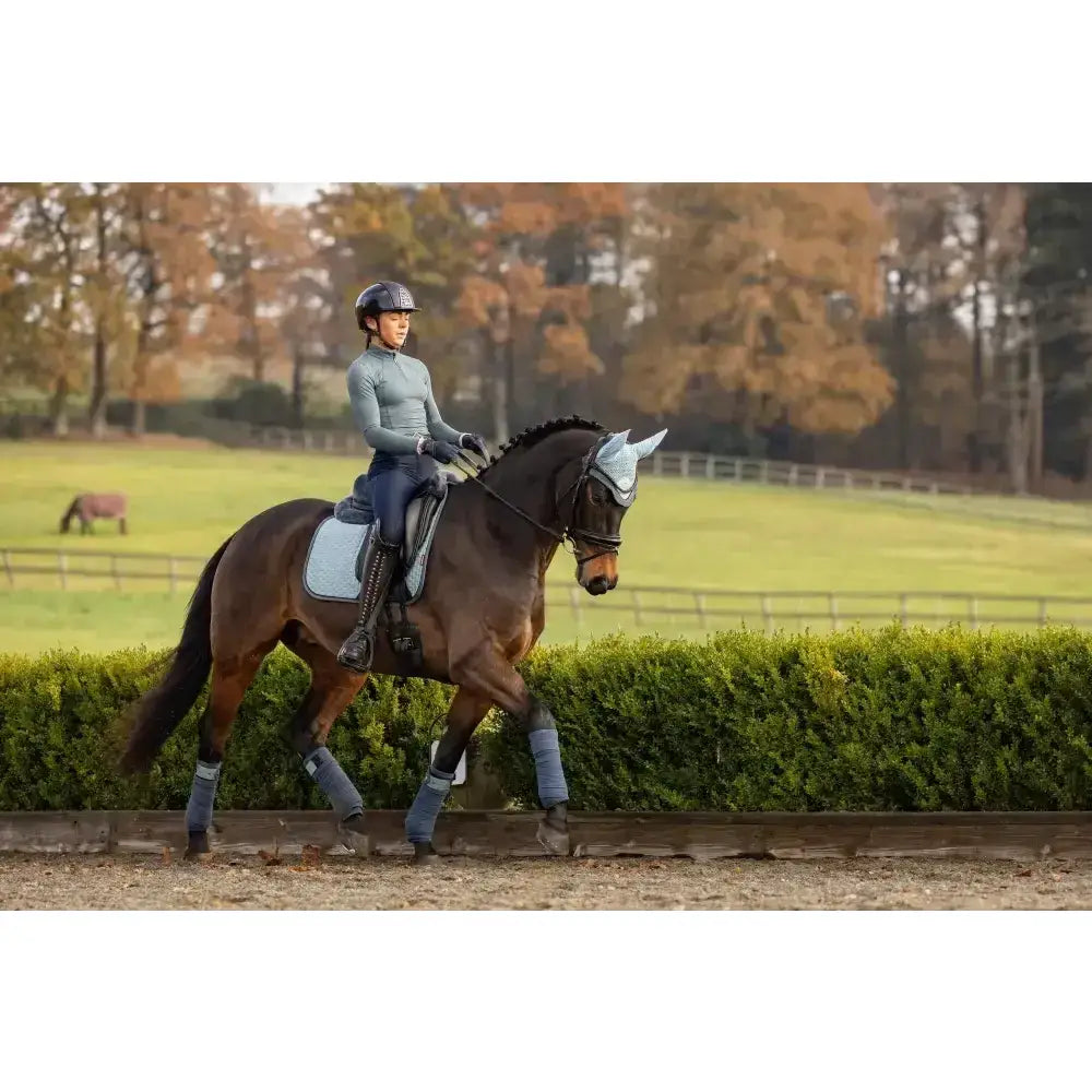 A dark brown horse wearing lemieux suede dressage square glacier in light gray with matching leg wraps and head cover