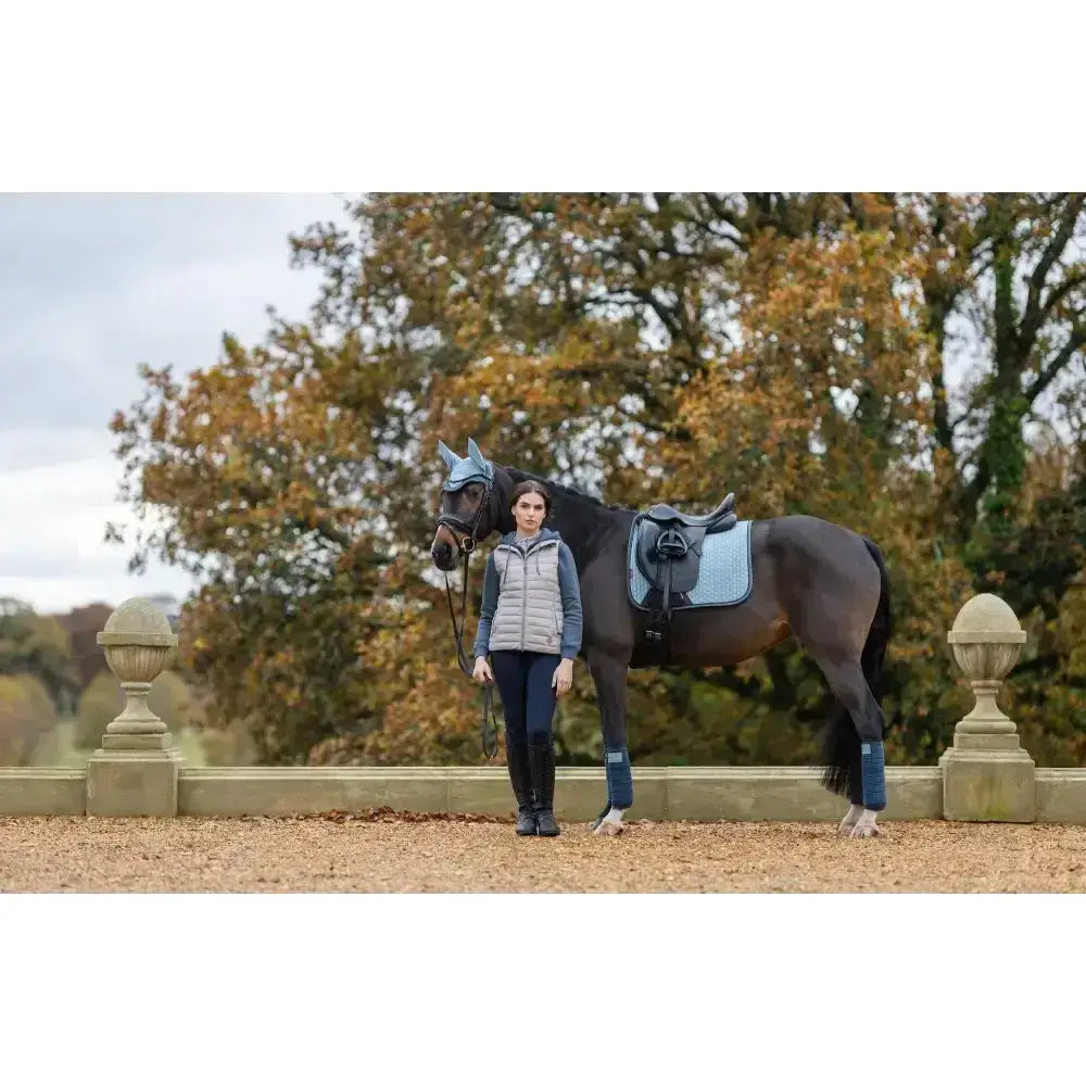 Dark brown horse with blue leg wraps wearing lemieux suede dressage square glacier in an outdoor setting with woman