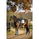 A dark brown horse in an autumn paddock wearing lemieux suede dressage square glacier with blue leg wraps