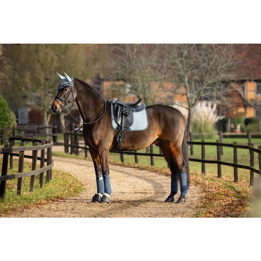 Lemieux Suede Dressage Square Glacier - Saddle Pads & Numnahs