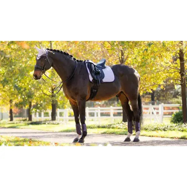 A dark brown horse with a lilac lemieux suede dressage square lilac saddle pad in an autumn setting