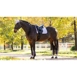 A dark brown horse with a lilac lemieux suede dressage square lilac saddle pad in an autumn setting