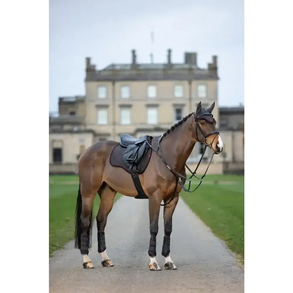 A sleek chestnut horse wears lemieux suede gp square cinder in classic general purpose dark leather tack on gravel path
