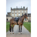 A sleek chestnut horse wears lemieux suede gp square cinder in classic general purpose dark leather tack on gravel path