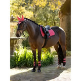 A sleek dark brown horse wearing a lemieux suede gp square cranberry saddle pad with matching leg wraps