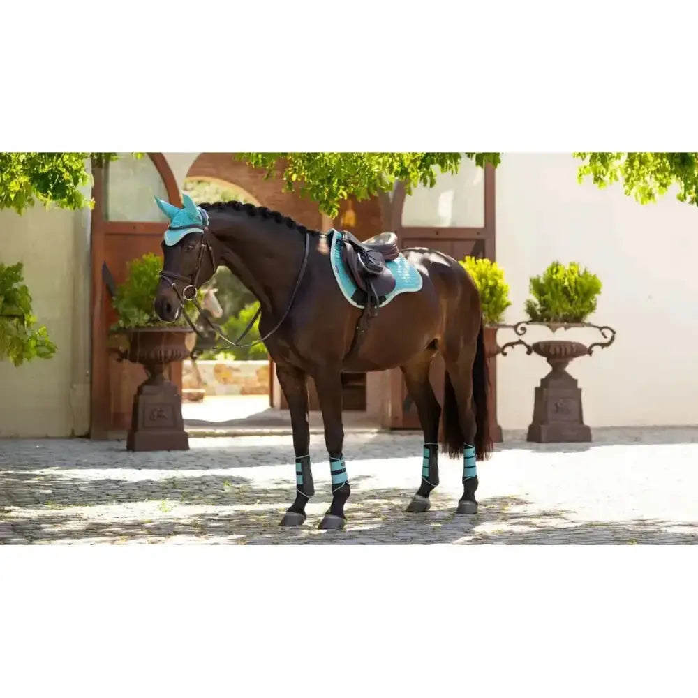 A dark brown horse wearing a lemieux suede gp square lagoon saddle pad with matching ear bonnet and leg wraps