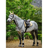 Lemieux Suede GP Square Mimosa Mimosa Small/Medium Saddle Pads