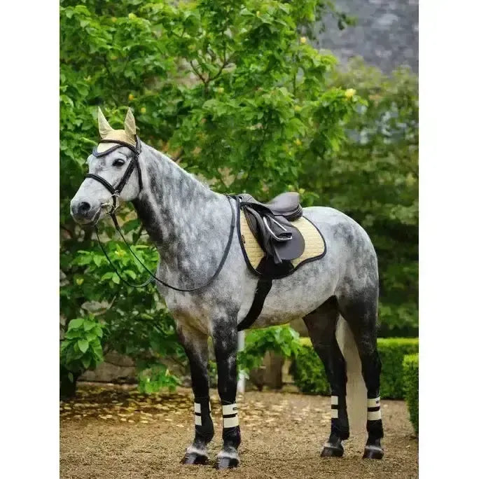 Lemieux Suede GP Square Mimosa Mimosa Small/Medium Saddle Pads