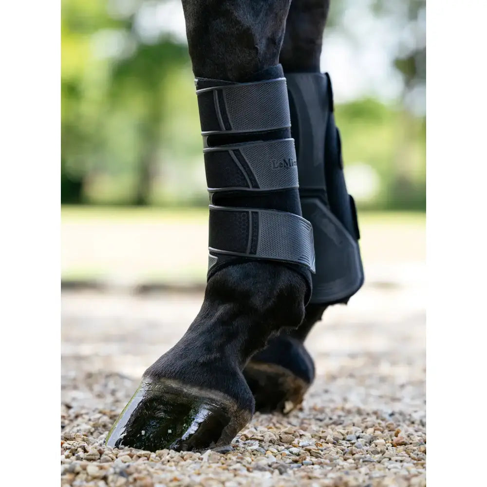 Black and gray lemieux technical brushing boot with adjustable straps for horse leg protection in technical boot black style