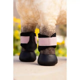 Black and pink lemieux toy pony boots with soft padded design for comfort in identical miniature versions