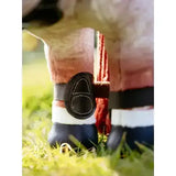 Black leather lemieux toy pony capella boots brown with stitched oval hoof protector for ponies
