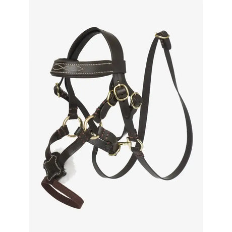 Dark brown leather lemieux toy pony grackle bridle brown with silver hardware and decorative stitching on pony grackle bridle
