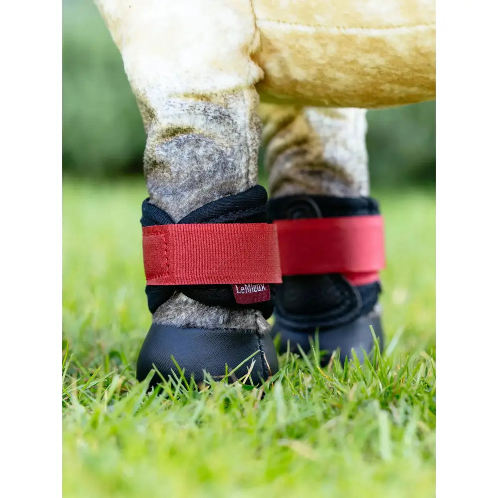 Black leather lemieux toy pony grafter boots with red velcro strap in grafter boots chilli color