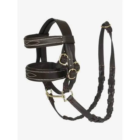 Black leather lemieux toy pony hunter bridle with white stitching and gold hardware for toy pony hunter use