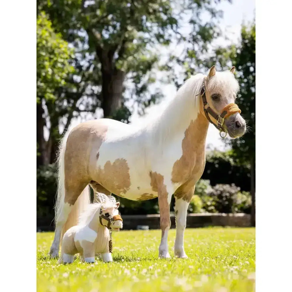 A charming lemieux toy pony lemon with cream and white paint and flowing mane standing in a sunlit grassy field