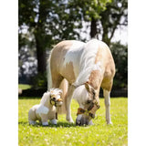 A plush cream and white lemieux toy pony lemon with brown harness standing on grass next to a real pony promoting world horse welfare