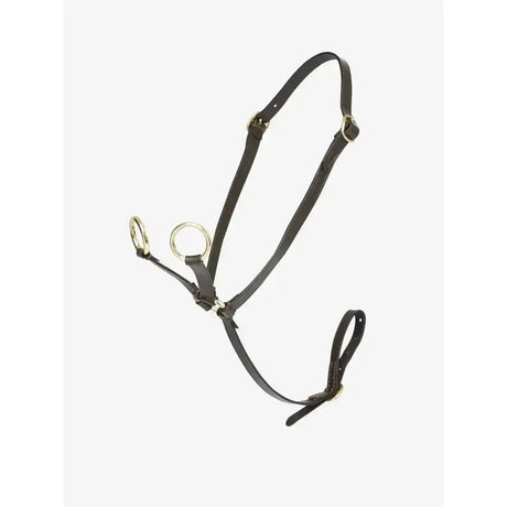 Black leather lemieux toy pony martingale brown with silver rings made from genuine high-quality leather