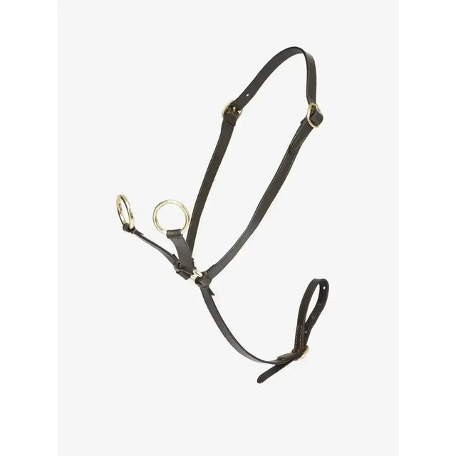 Black leather lemieux toy pony martingale brown with silver rings made from genuine high-quality leather