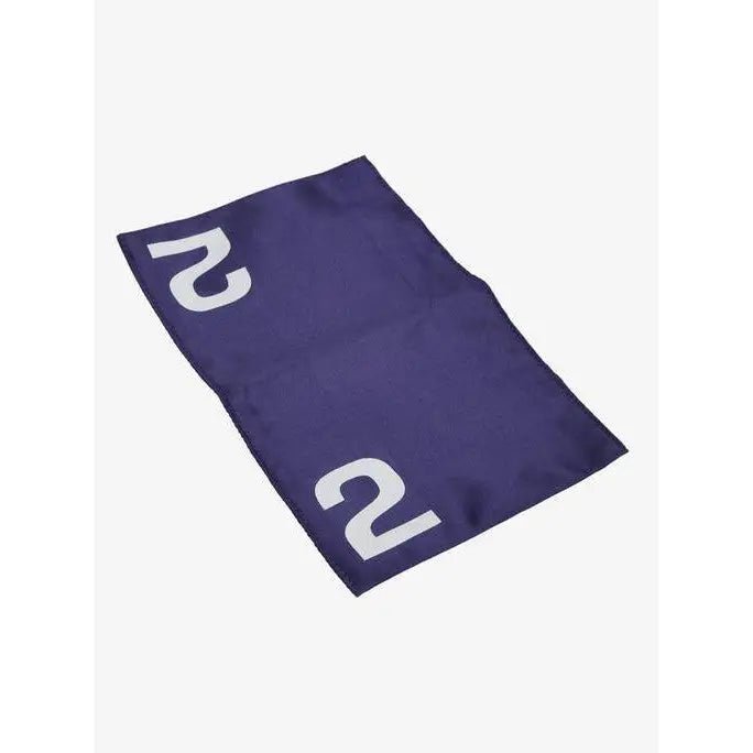 Purple pony racing cloth with white number 2 for Lemieux Toy Pony