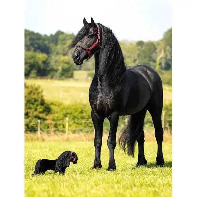 Black horse in red halter stands in field near Lemieux Toy Pony Spike and stable door