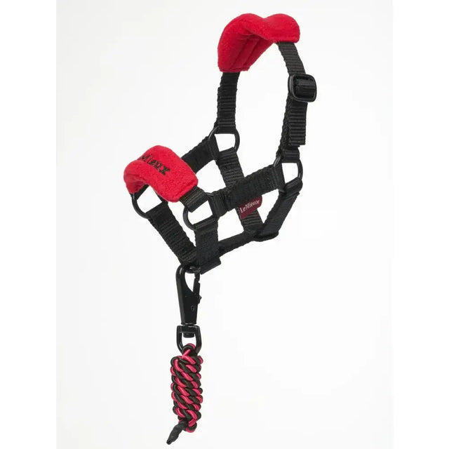 Black lemieux toy pony vogue headcollar chilli with red plush padding and pink black braided lead rope attached