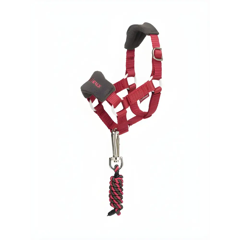 Red Lemieux Toy Pony Vogue Headcollar with black padding and lead rope for ponies