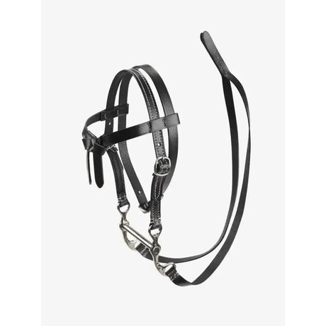 Black leather lemieux toy pony western bridle with silver hardware and matching lead rope for pony western use