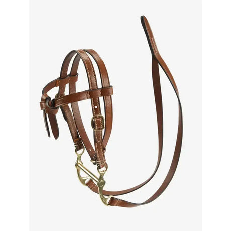 Brown leather pony western bridle with brass hardware and matching lead rope from lemieux toy pony western bridle tan