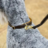 LeMieux Toy Pupper Collar Lead Ginger Brown Barnstaple Equestrian