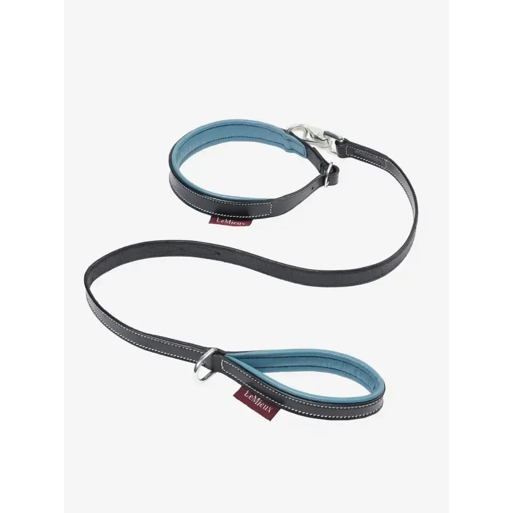 Lemieux Toy Puppy Collar & Lead Ice Blue/Black One Size Alpine Toy Puppy