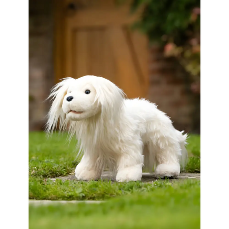 White plush Lemieux Toy Puppy Golden Retriever Luna standing on grass