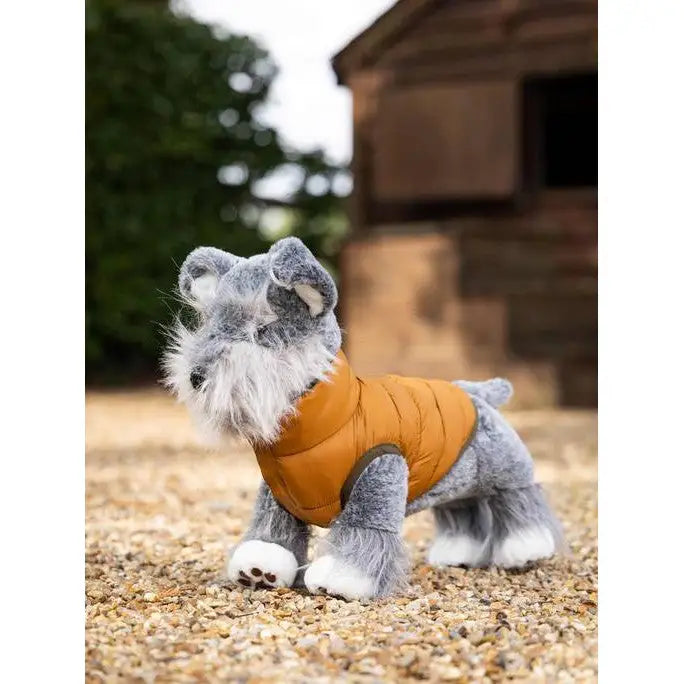 Gray Schnauzer wearing an orange vest in Lemieux Toy Puppy Puffer Coat Ginger