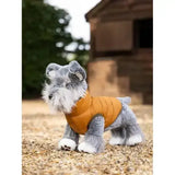 Lemieux Toy Puppy Puffer Coat Ginger Ginger Toy Puppy