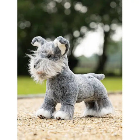 Gray and white Lemieux Toy Puppy with floppy ears and fluffy beard, adorable toy dog