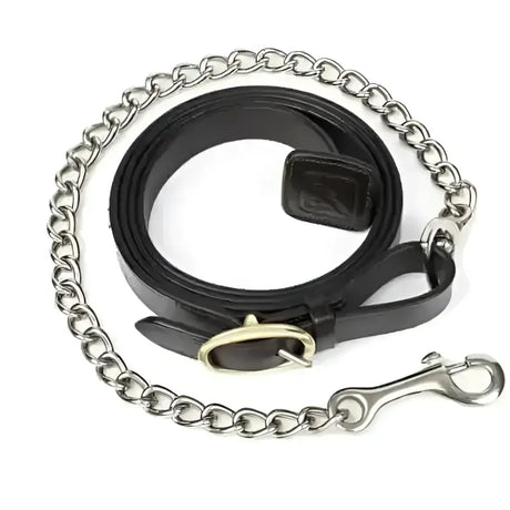 Black leather chain leash with silver hardware and brass buckle from lemieux brown leather trot headcollars and leadropes