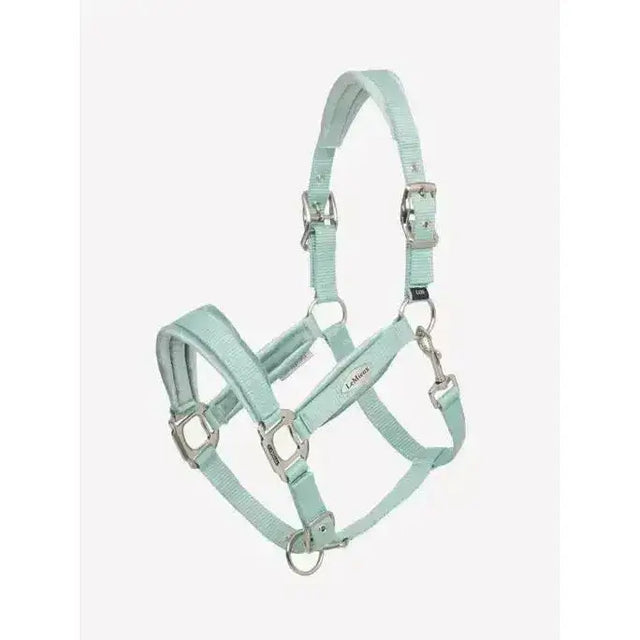 A mint green leather lemieux versailles headcollar aqua with silver hardware and adjustable poll strap
