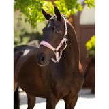 A sleek black horse wearing the lemieux versailles headcollar blossom with a delicate pink and white bridle