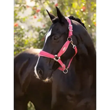 Lemieux Versailles Headcollar Cranberry Cranberry Pony Headcollars
