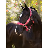 Pink leather lemieux versailles headcollar cranberry with silver hardware and adjustable poll strap for horses