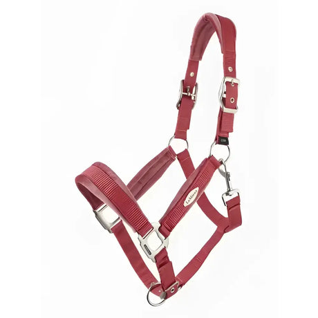 Red leather lemieux versailles headcollar cranberry with silver hardware and adjustable poll strap for horses