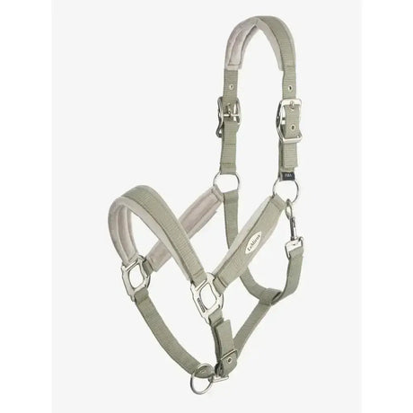 Light gray leather lemieux versailles headcollar fern with silver hardware and adjustable buckles beautifully crafted versailles