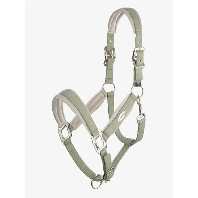 Light gray leather lemieux versailles headcollar fern with silver hardware and adjustable buckles beautifully crafted versailles