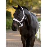 Lemieux Versailles Headcollar Lilac Lilac Pony Headcollars