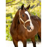 A sleek chestnut horse wearing a light beige lemieux versailles headcollar mimosa leather halter with a white blaze